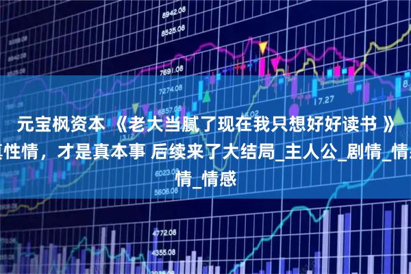 元宝枫资本 《老大当腻了现在我只想好好读书 》真性情，才是真本事 后续来了大结局_主人公_剧情_情感