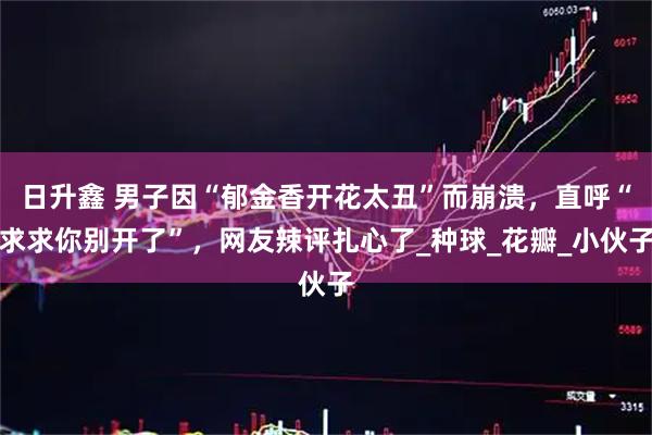 日升鑫 男子因“郁金香开花太丑”而崩溃,直呼“求求你别开了”,网友辣评扎心了_种球_花瓣_小伙子