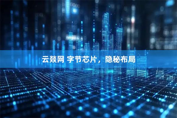 云燚网 字节芯片，隐秘布局