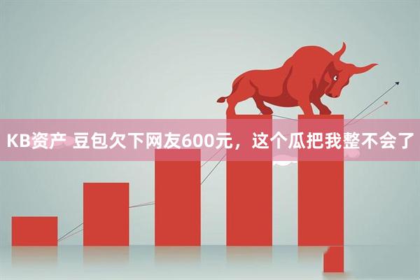 KB资产 豆包欠下网友600元，这个瓜把我整不会了
